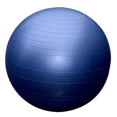 Sedco Gymnastický míč 65cm EXTRA FITBALL