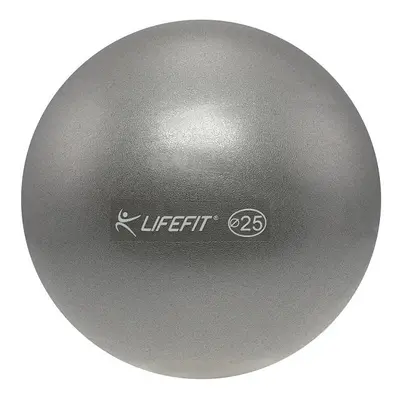 Lifefit Míč Overball 25cm stříbrný