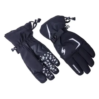 Blizzard Reflex ski gloves black/silver