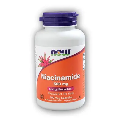 NOW Foods Vitamin B3 Nikotinamid (niacinamid) 500mg 100 kapslí