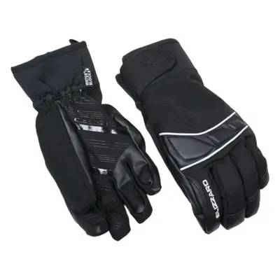 Blizzard Profi ski gloves black/silver