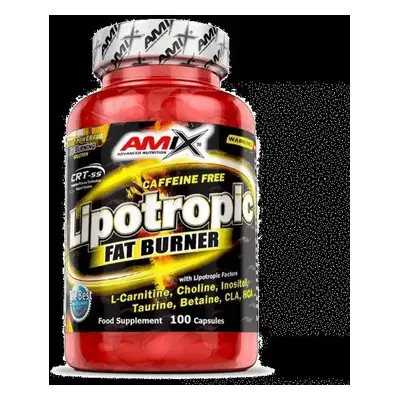 Amix Lipotropic Fat Burner 200 kapslí