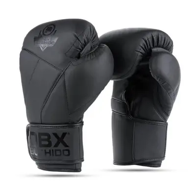 BUSHIDO Boxerské rukavice DBX B-2v15B