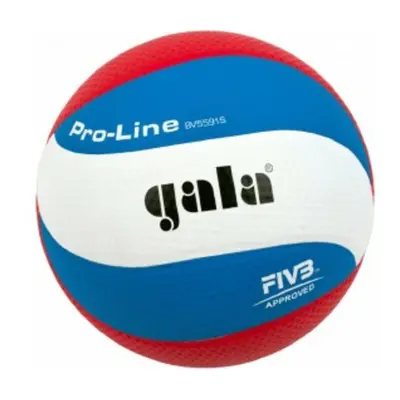 Volejbalový míč Gala Pro-line 10 panelu 5591 S