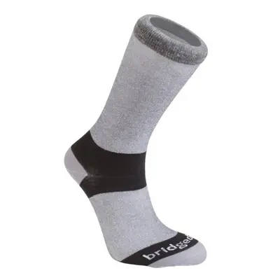 Ponožky Bridgedale Liner Base Layer Coolmax Liner Boot x2 grey/806 Ponožky: M (6-8,5) UK