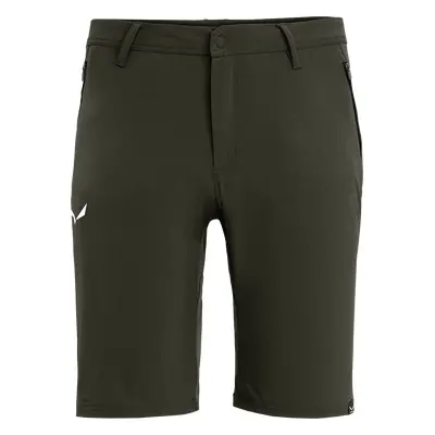 Pánské kraťasy Salewa TALVENO DST SHORTS M 27064-5280 Oblečení: S