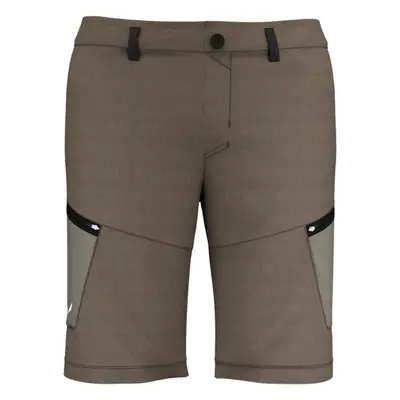 Pánské kraťasy Salewa Alpine Hemp M Cargo shorts 28033-7950 Oblečení: XL