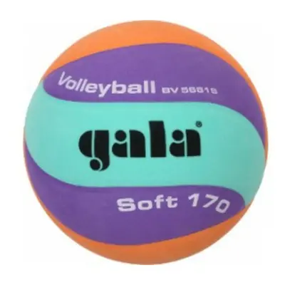 Volejbalový míč Gala Volleyball 170g 10 panelů