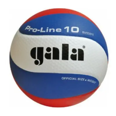 Volejbalový míč Gala PRO-LINE 10 panelů 5581 S