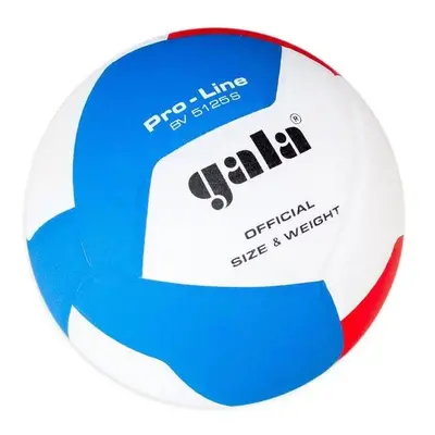 Volejbalový míč GALA Pro Line BV5125S