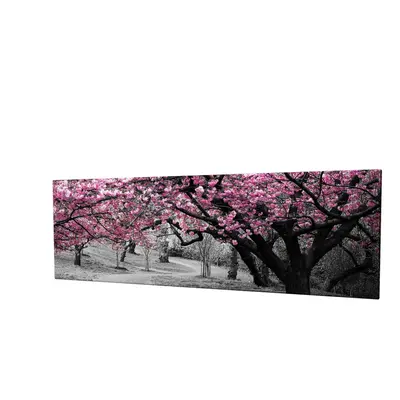 Wallity Obraz na plátně Cherry tree alley PC017 30x80 cm