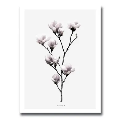 Wallity Obraz MAGNOLIA 30 x 40 cm