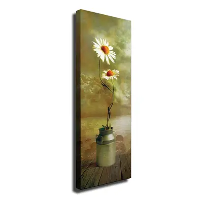 Wallity Obraz na plátně Daisy dream PC164 30x80 cm