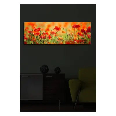 Hanah Home Obraz s led osvětlením Sean 90x30 cm