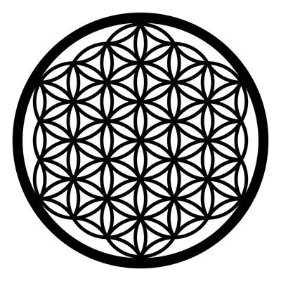 Wallity Nástěnná kovová dekorace FLOWER OF LIFE černá