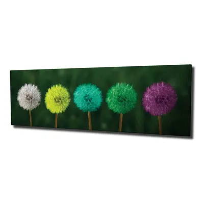 Wallity Obraz na plátně Dandelions PC93 30x80 cm