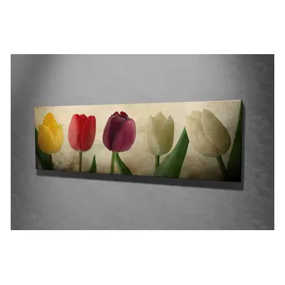 Hanah Home Obraz Tulipány 80x30 cm