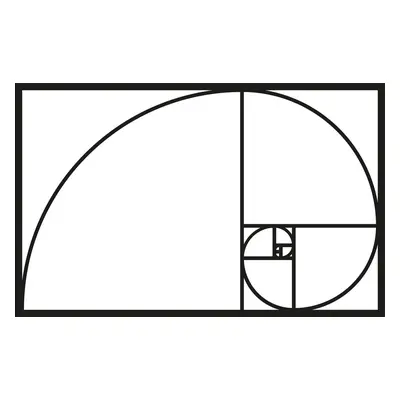 Wallity Nástěnná kovová dekorace GOLDEN RATIO černá