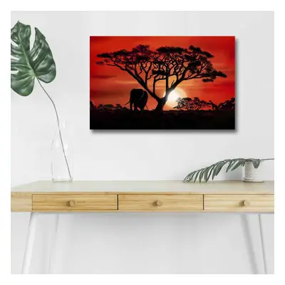 Wallity Obraz s LED osvětlením AFRICKÁ KRÁSA 53 45 x 70 cm