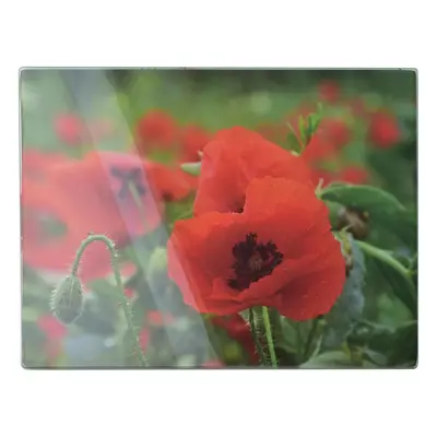 Mondex Skleněné krájecí prkénko Aria POPPY 30x40 cm červené