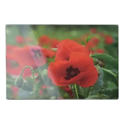 Mondex Skleněné krájecí prkénko Aria POPPY 20x30 cm červené