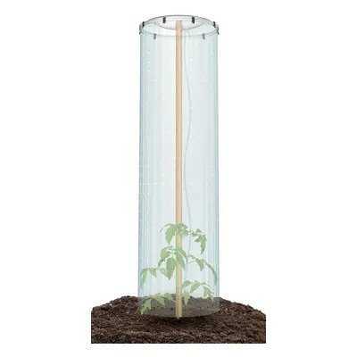 Prosperplast Pěstební fóliovník TOMATOES 38,5 cm transparentní