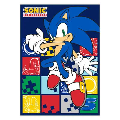 Faro Dětská fleecová deka Polar JEŽEK SONIC 100x140 cm modrá