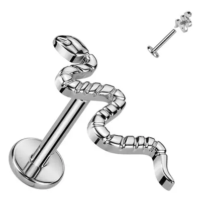 S4U Šperky4U Piercing do brady had TITAN (1,2 x 8 mm) - TIT1252-1208