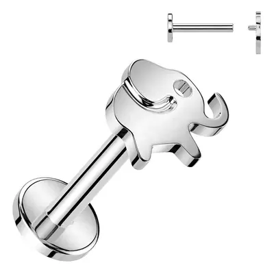 S4U Šperky4U Piercing do brady slon - TITAN (1,2 x 6 mm) - TIT1312-1206