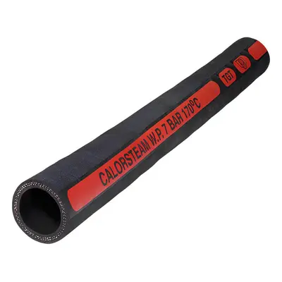 ESSENTIAL Hadice pro páru Steam Profi 165 - 81/63 mm