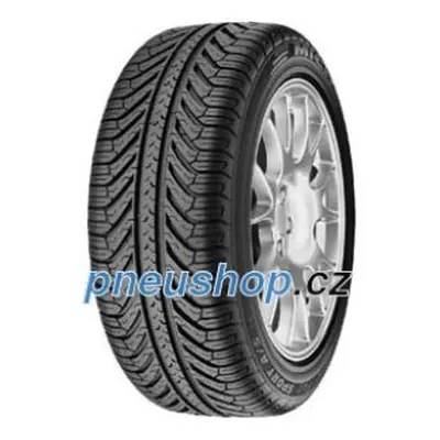 Michelin Pilot Sport A/S Plus ( 255/45 R19 100V, N1 )