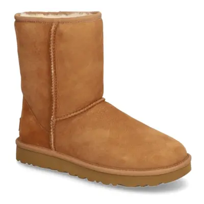 UGG W CLASSIC SHORT