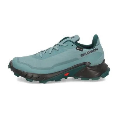 Salomon outdoor obuv