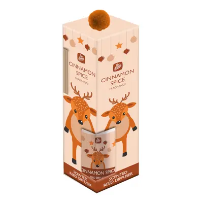 PanAroma aroma difuzér v dárkovém balení Cinnamon Spice 100ml