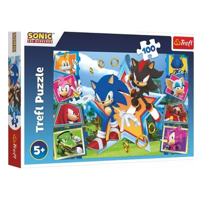 Trefl Puzzle Seznamte se se Sonicem/Sonic the Hedgehog 100 dílků