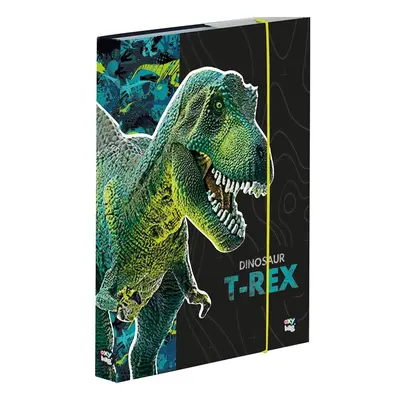 Karton P+P Box na sešity A4 Premium Dinosaurus