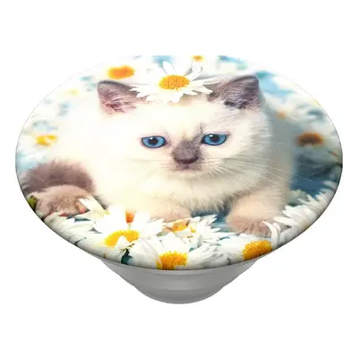 PopSockets PopTop Gen.2, Purr-fect Flower, koťátko v kopretinách, výměnný vršek