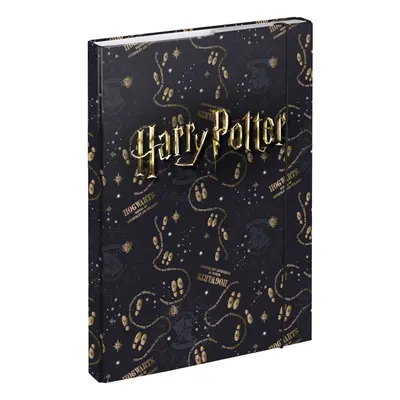 Baagl Desky na sešity A4 Harry Potter Pobertův plánek