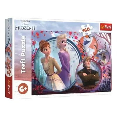 Trefl Puzzle Ledové království II/Frozen II 160 dílků