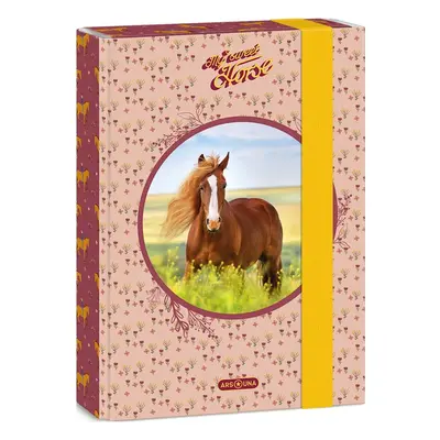 Ars una Box na sešity My Sweet Horse A5