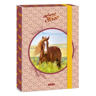 Ars una Box na sešity My Sweet Horse A4