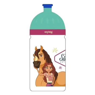 Karton P+P Láhev na pití 500 ml Spirit Riding Free