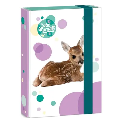 Box na sešity Cute Animals srnečka A5