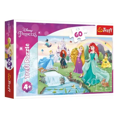 Trefl Puzzle Poznejte princezny 60 dílků