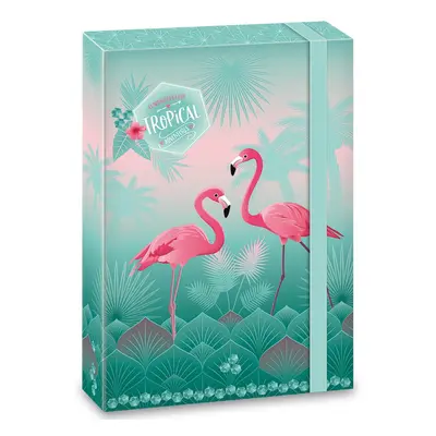 Ars una Box na sešity A4 Pink Flamingo