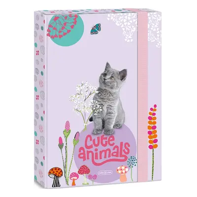 Ars una Box na sešity A4 Cute Animals - kotě