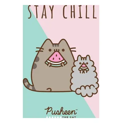 Carbotex Dětský ručník Kočička Pusheen Stay Chill