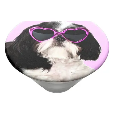 PopSockets PopTop Gen.2, Sassy Shih Tzu, shih tzu se slunečními brýlemi, výměnný vršek