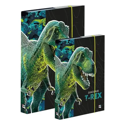 Karton P+P Box A4+A5 Premium Dinosaurus