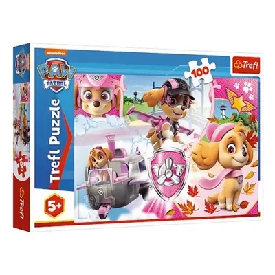 Puzzle Paw Patrol/Tlapková patrola Skye v akci 41x27,5cm 100 dílků